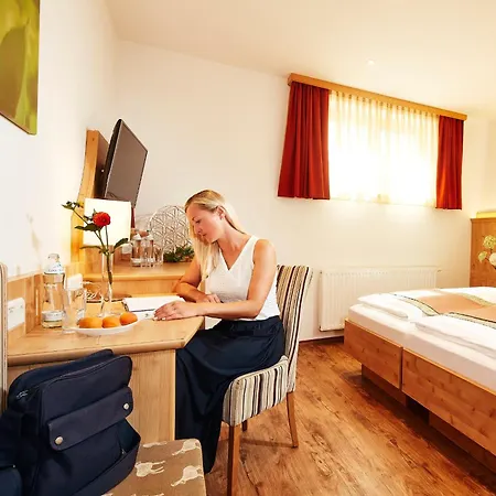 Donauhotel Lettnerhof ホテル *