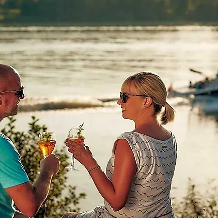 Donauhotel Lettnerhof Ξενοδοχείο Au an der Donau