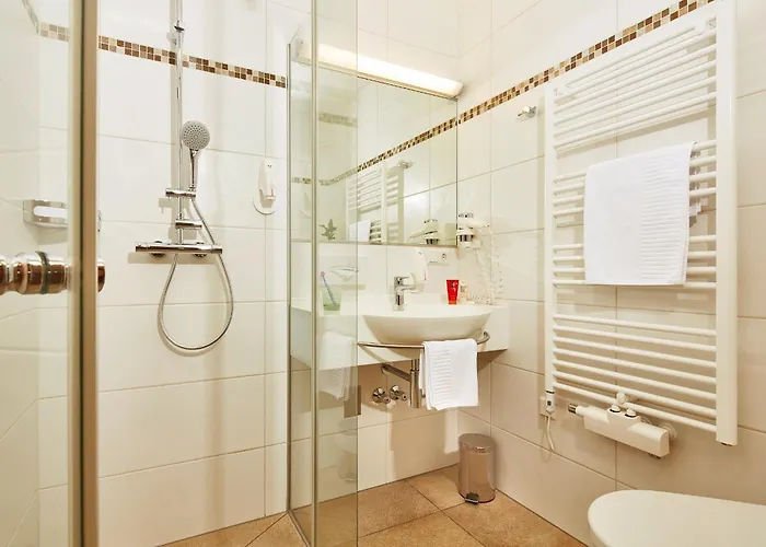 Donauhotel Lettnerhof Ξενοδοχείο *