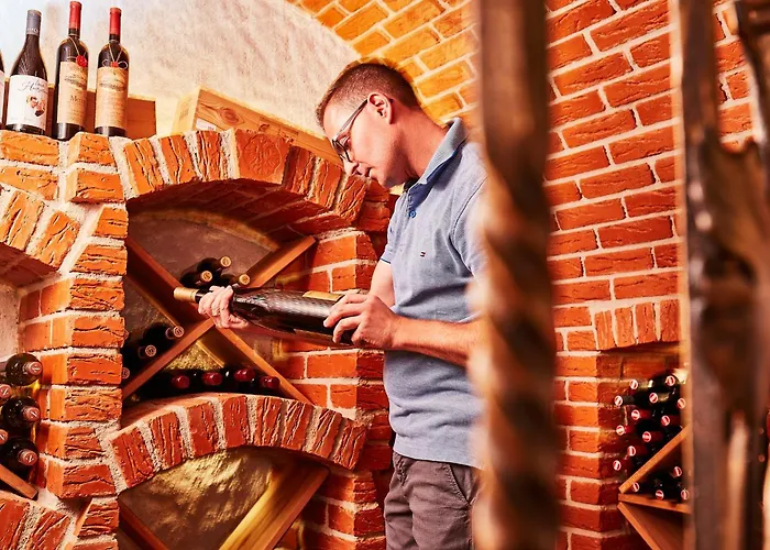 Donauhotel Lettnerhof Ξενοδοχείο