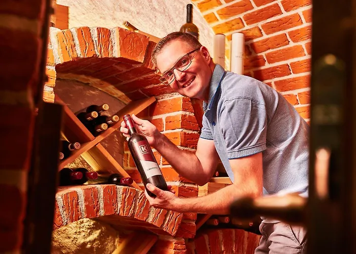 Ξενοδοχείο Donauhotel Lettnerhof