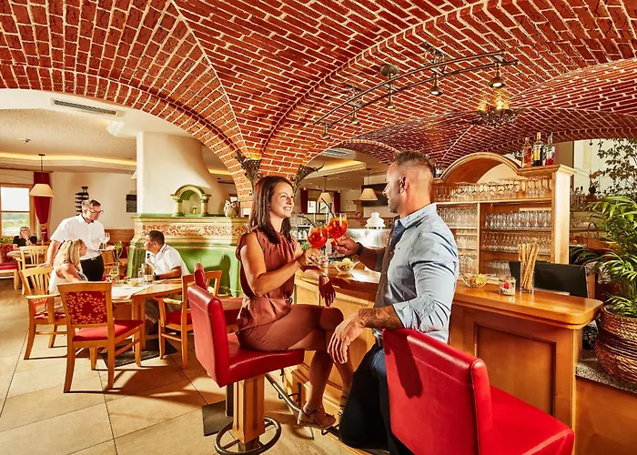 Donauhotel Lettnerhof Ξενοδοχείο *