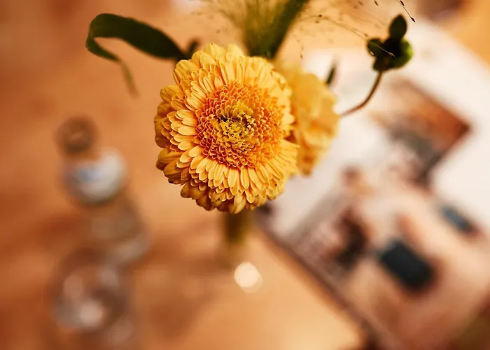 Hotel Donauhotel Lettnerhof