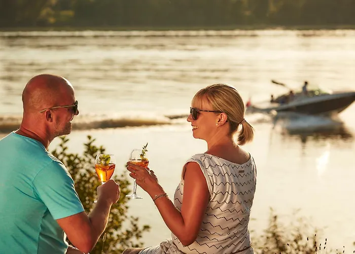 Donauhotel Lettnerhof Au an der Donau